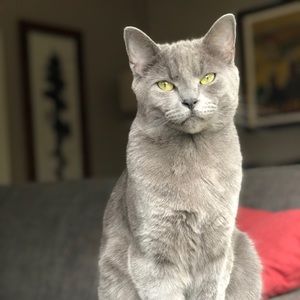 Meet your Posher, Tina